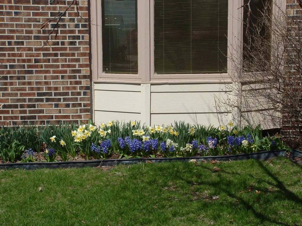 My house!