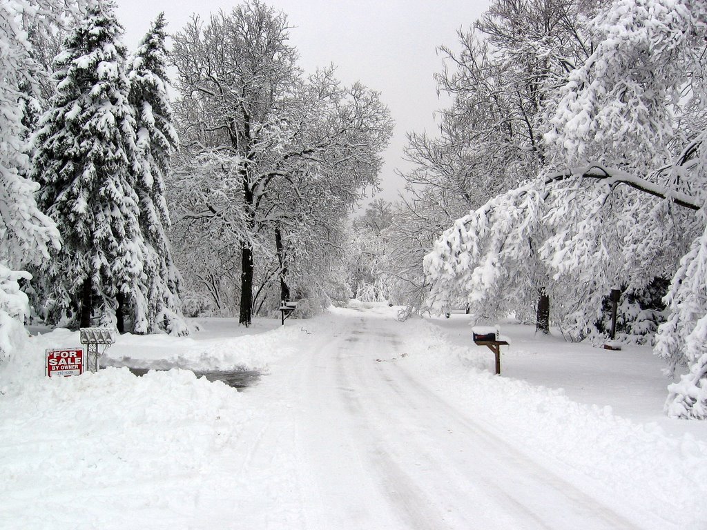 Snow storm Feb. 25th, 2007