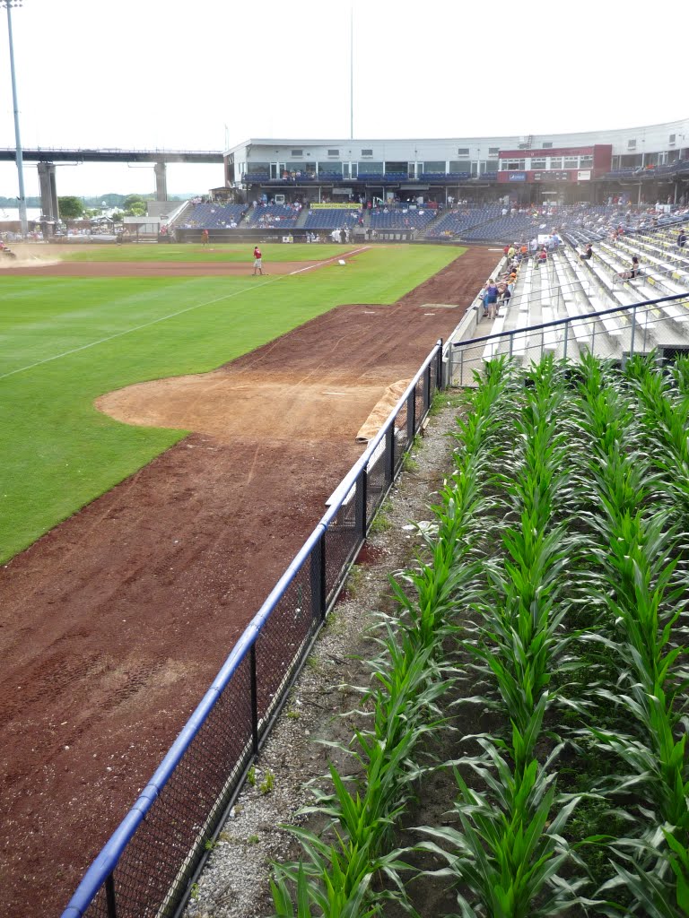 River Bandits Baseball