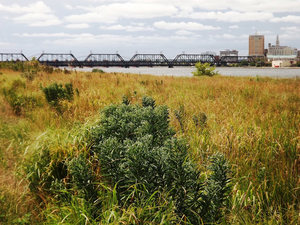 Prairie grass, Government Bridge, and Davenport