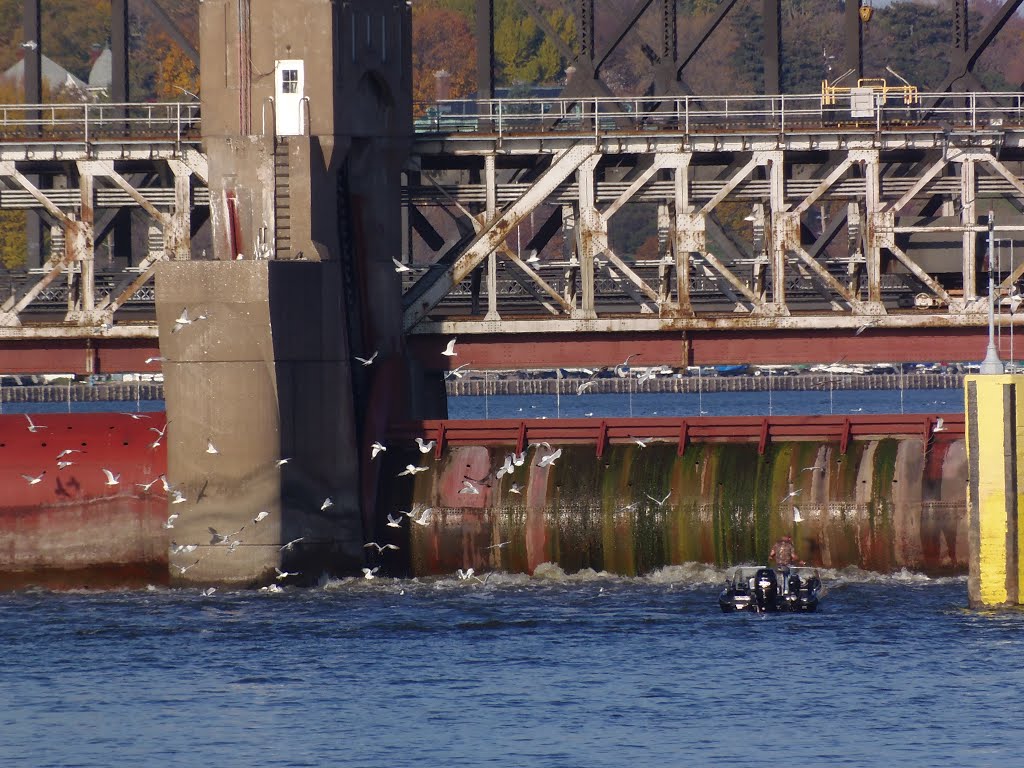 Roller Dam Fishing