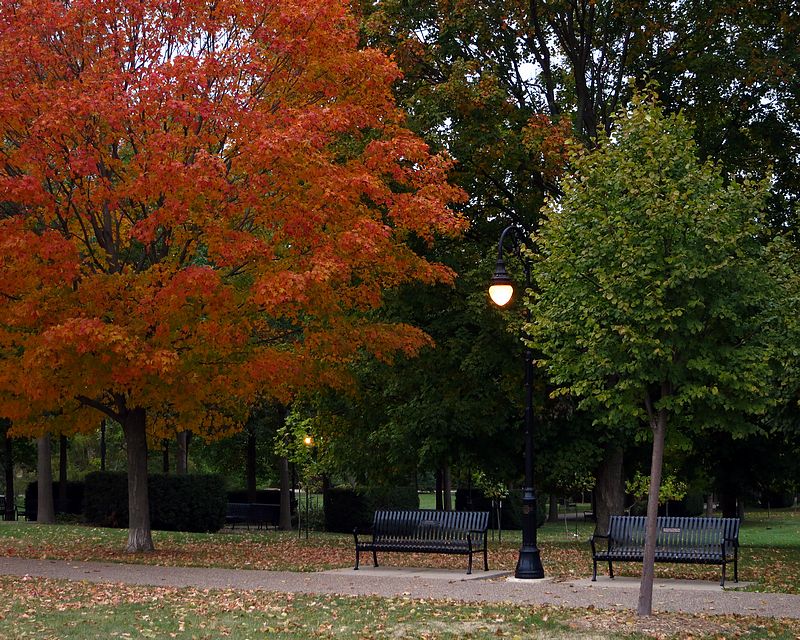 Vander Veer Park