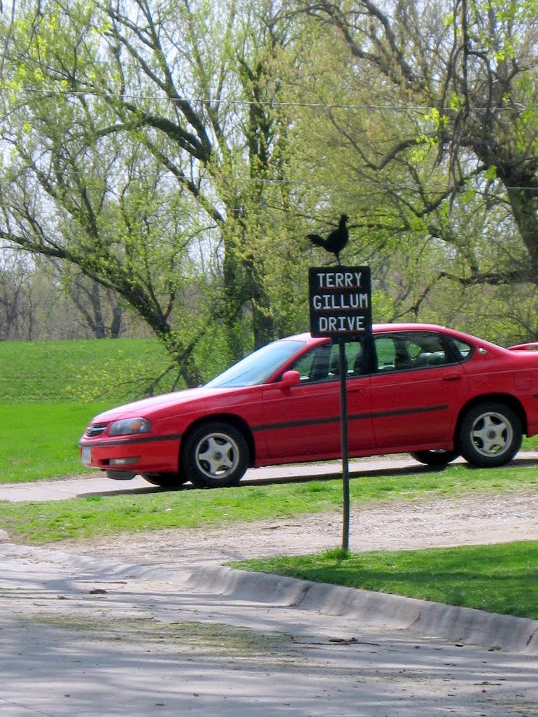 Terry Gillum Drive.