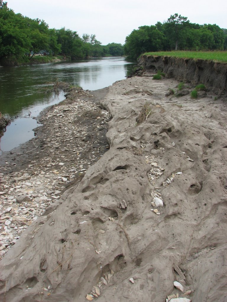 Decorah Community Prairie After the Floods