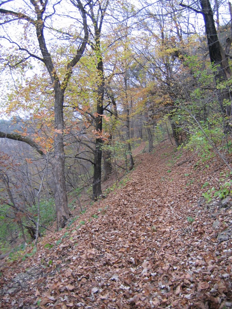 Phelps park trail