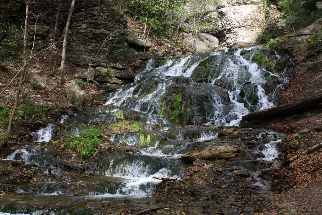 Dunnings Spring Park