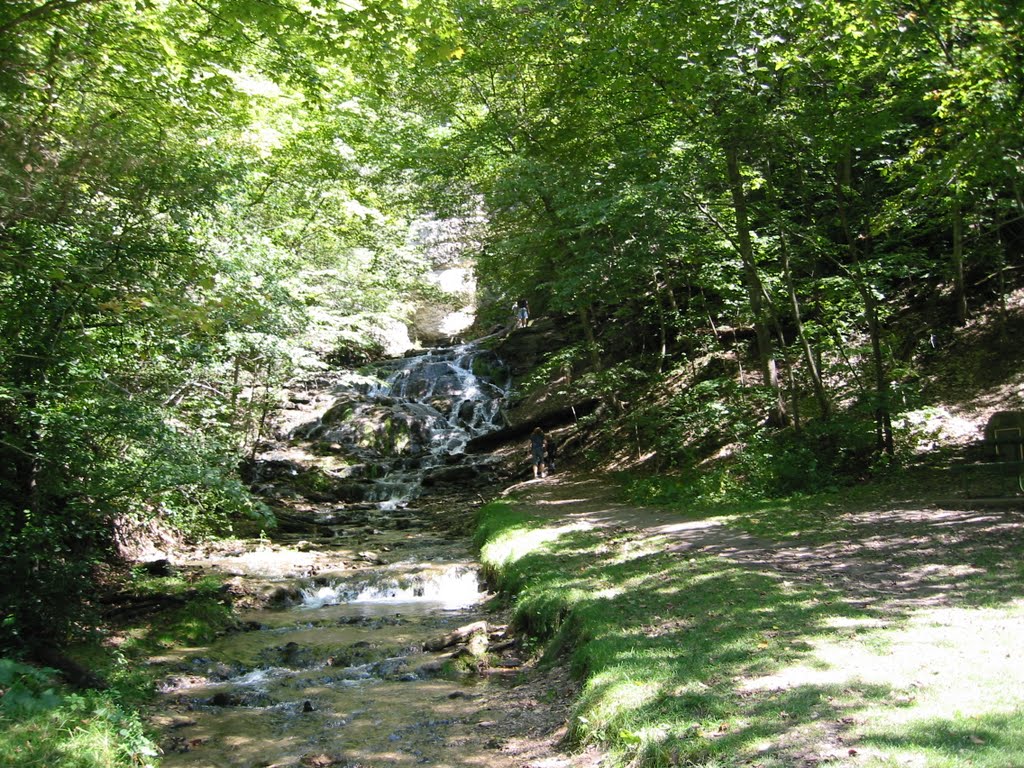Dunnings Spring Decorah,IA (8/26/09)