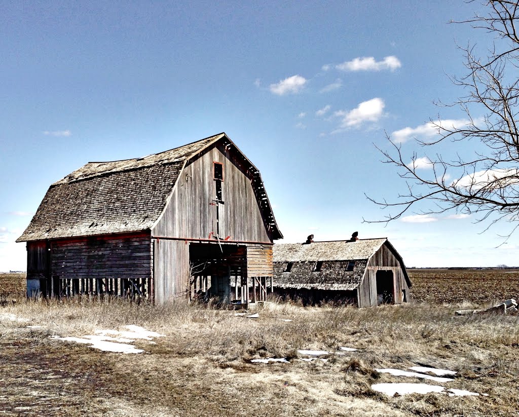 Old Wooden Barns