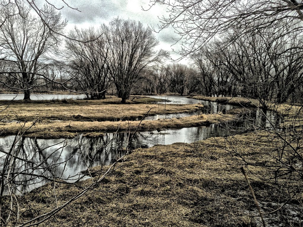 Buffalo Creek County Park - Coggon, Iowa