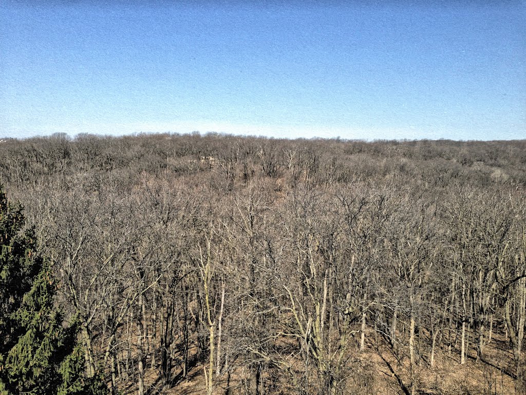 Pinicon Ridge Park Observation Tower, View Looking Away From River