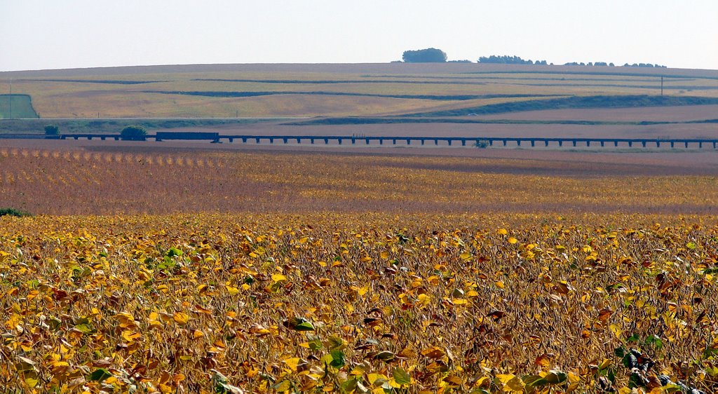 September in Iowa (pan)