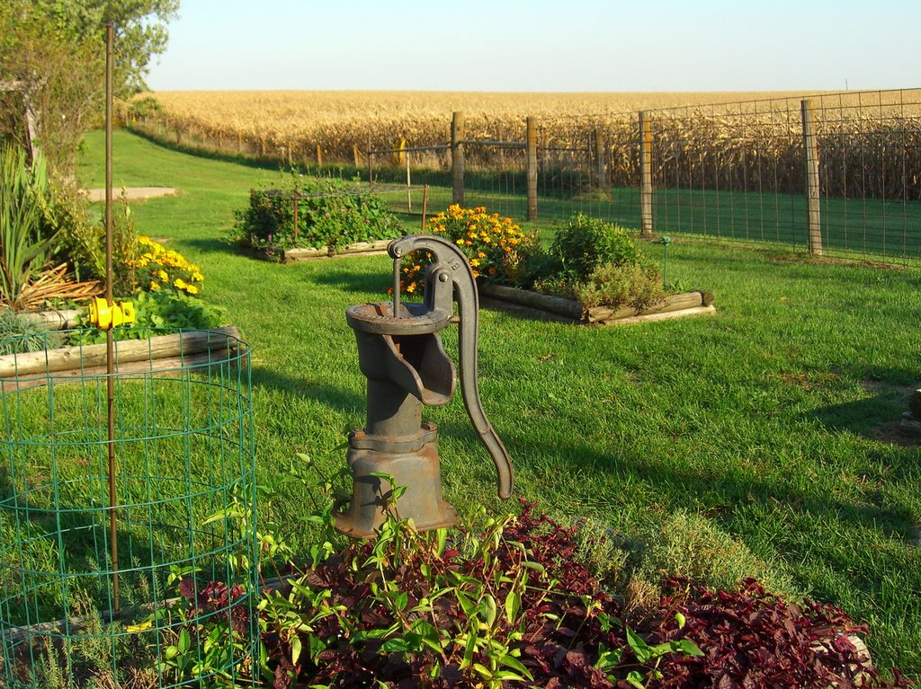 Farm Scene of Hand Pump, Flowers & Corn Field