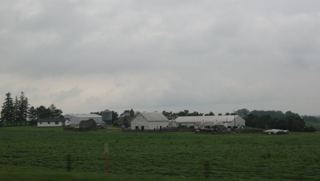 Farm off Dodge Avenue