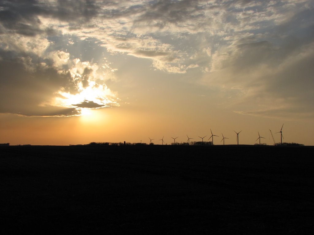 Endeavor Windfarm