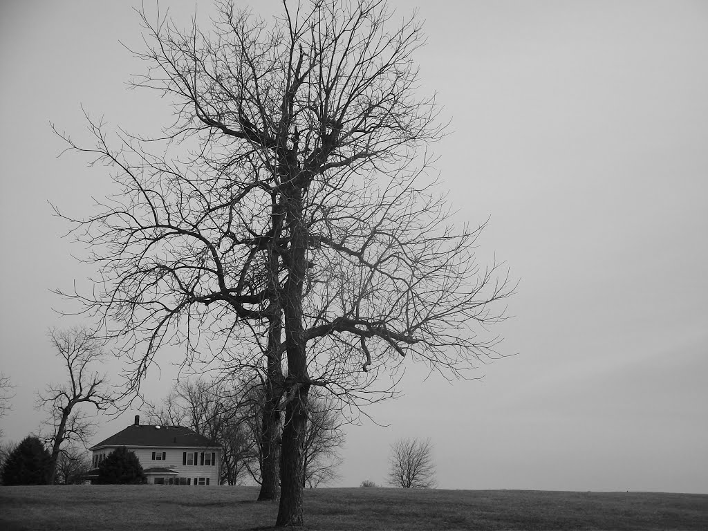 the house on the hill - iowa