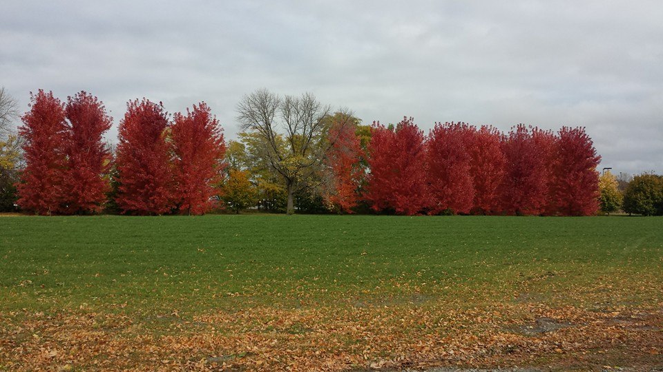 October in Carter Lake Park