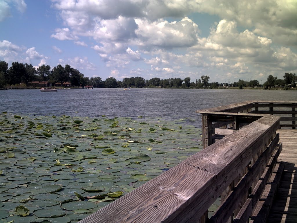 Lillies from the pier at Carter Lake