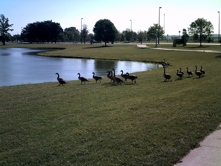 Kiwanis Park