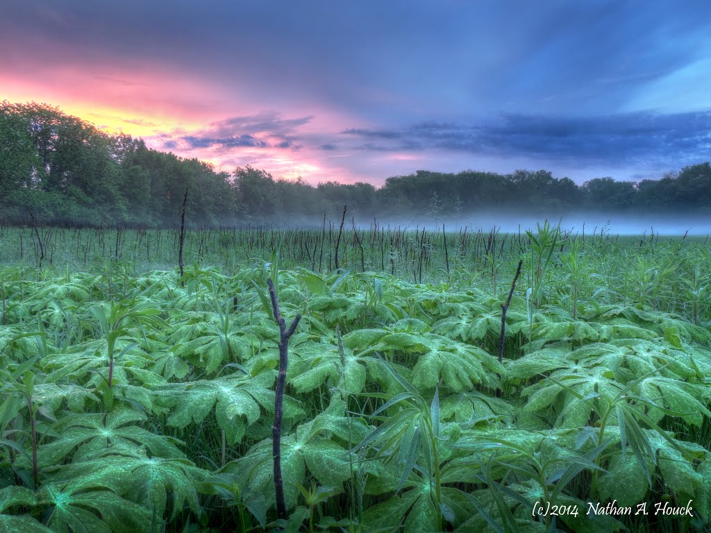 Clive Greenbelt Prairie