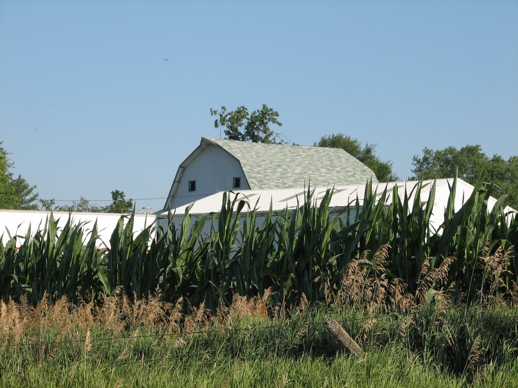 Countryside