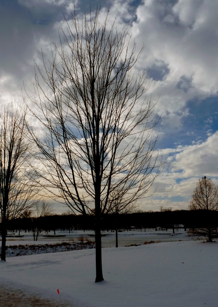 Iowa City December sky