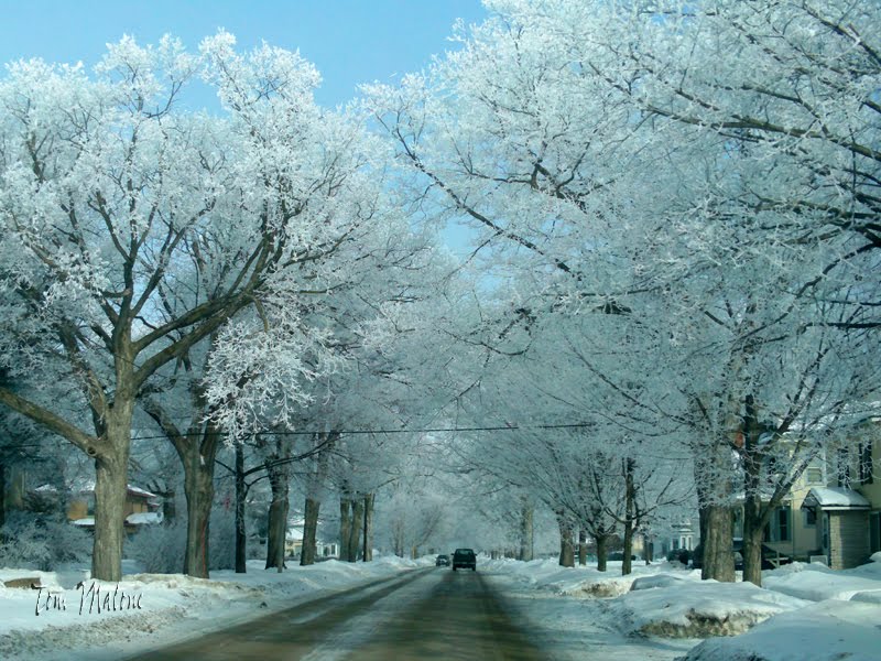 Frosted Street