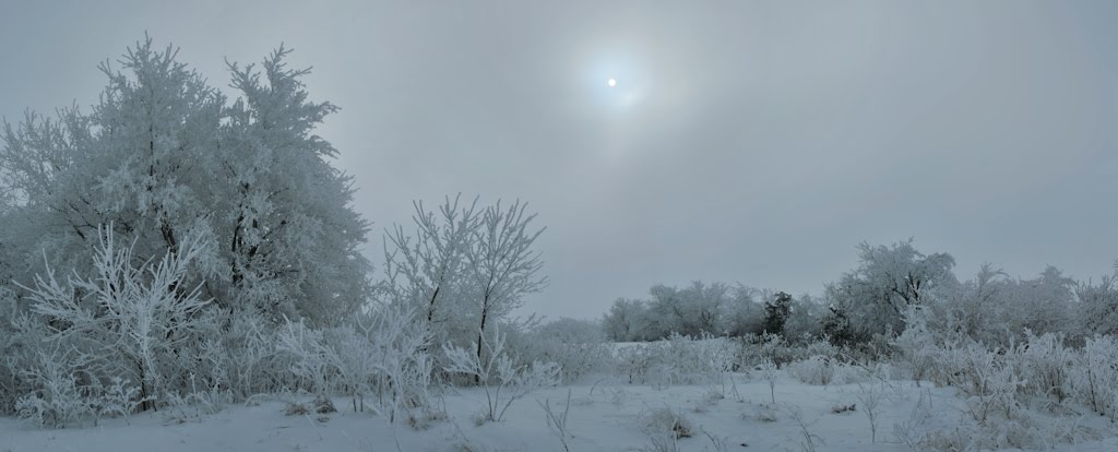 Cold Sun