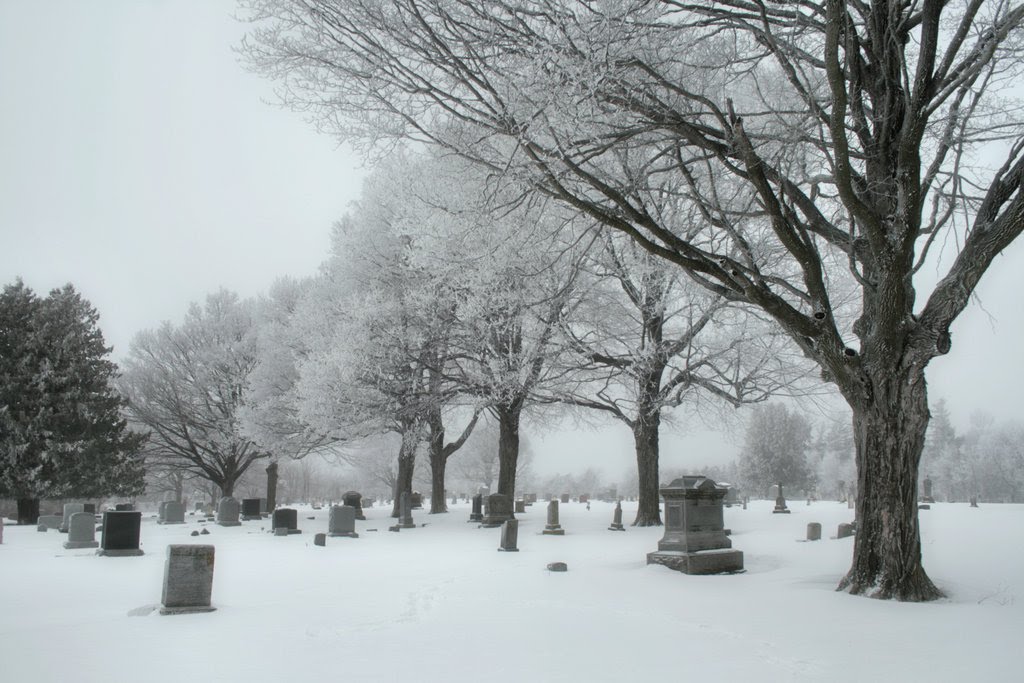 The Frozen Dead