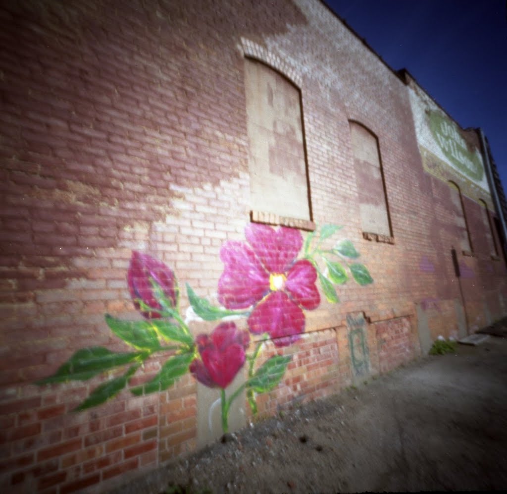 Pinhole, Iowa City, Graffiti (2012/APR)
