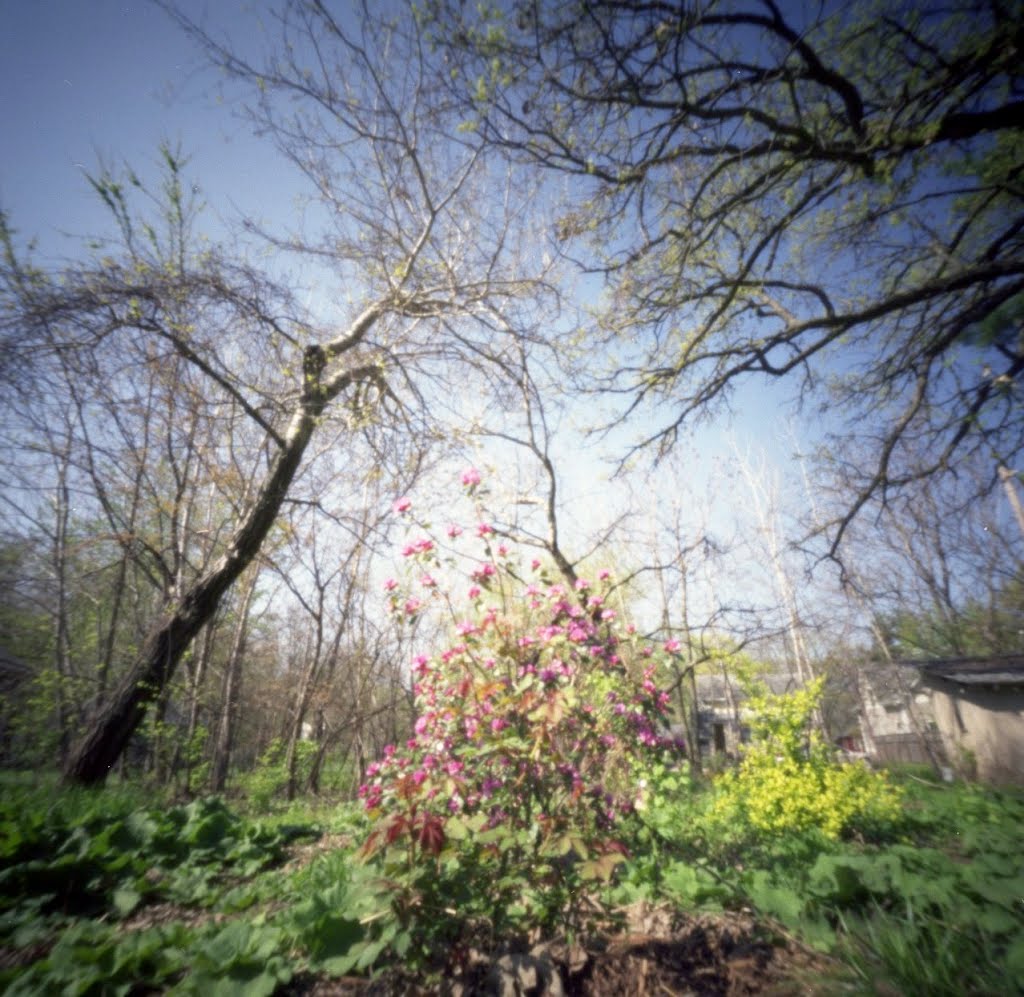 Pinhole, Iowa City, Spring 6 (2012/APR)