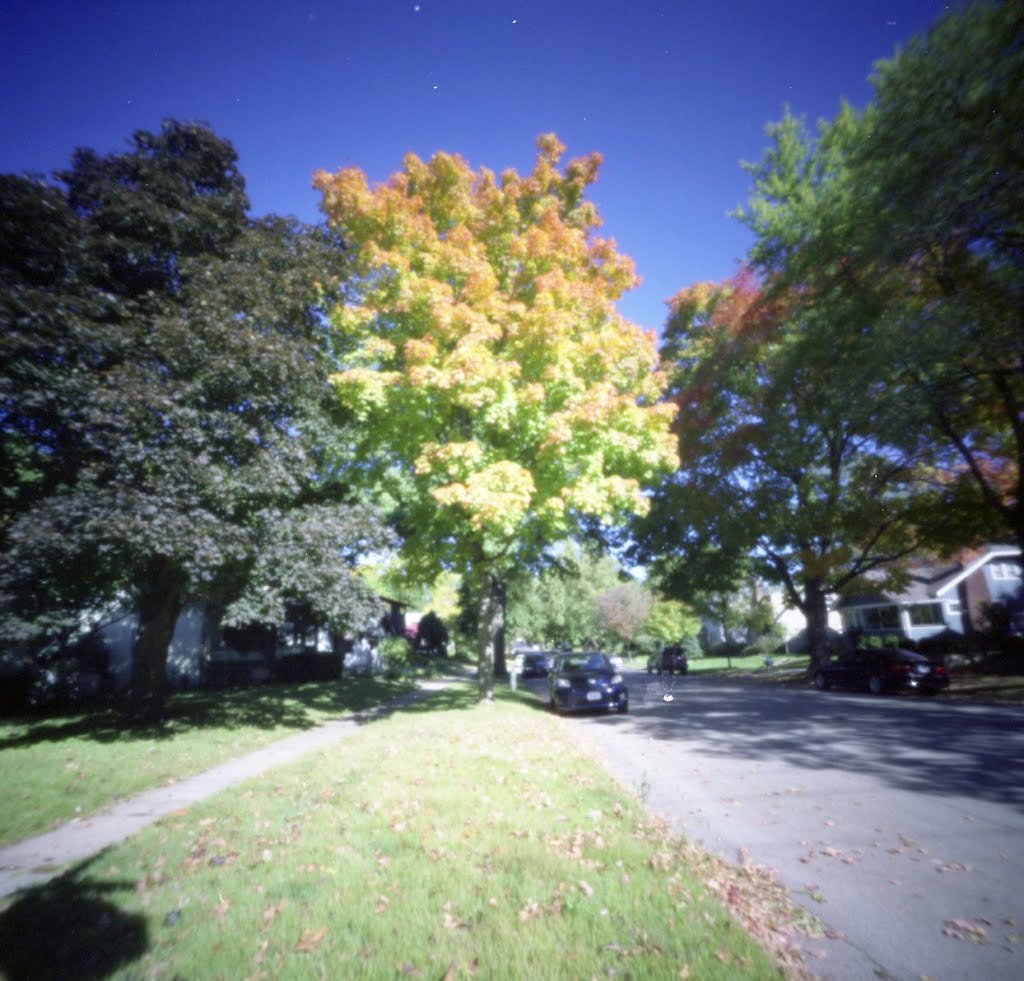 Pinhole Iowa City Fall (2011/OCT)