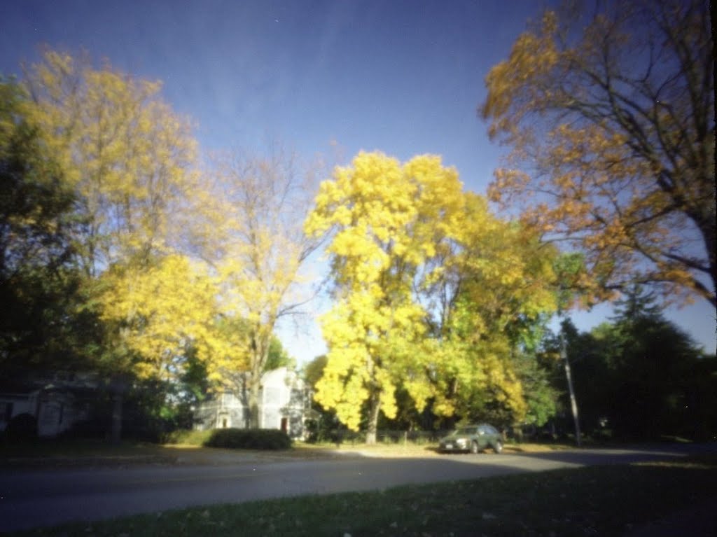 Pinhole Iowa City Fall 2 (2011/OCT)