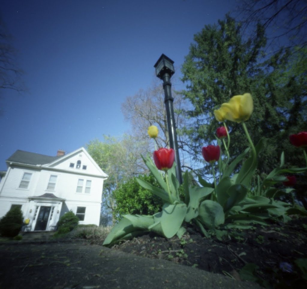 Pinhole, Iowa City, Spring 3 (2012/APR)