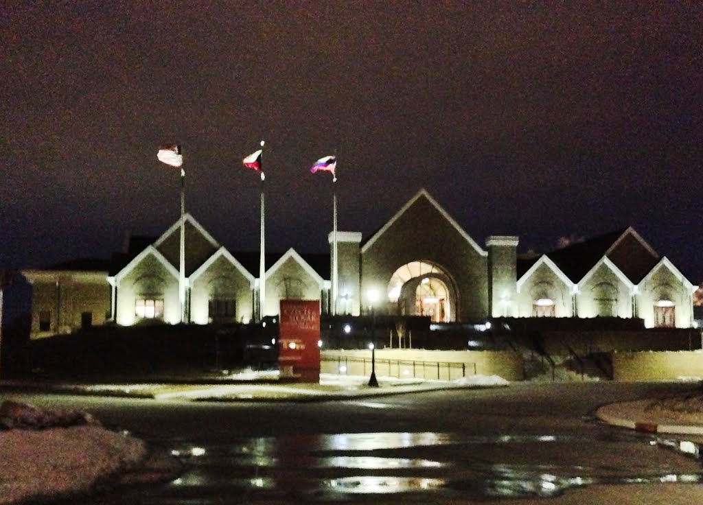 Night Shot of National Czech & Slovak Museum & Library