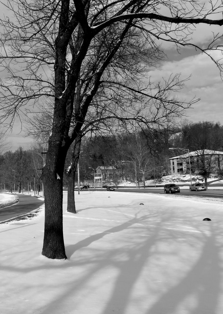 Iowa City Winter