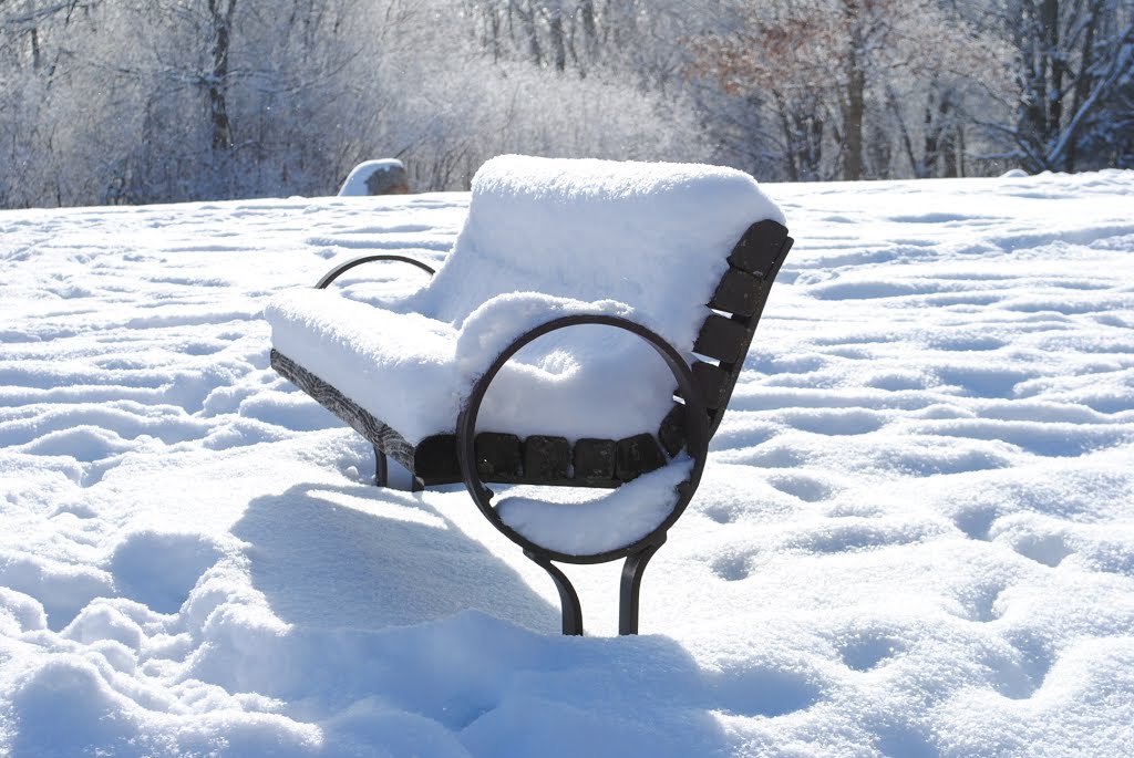 Hickory Hill Park, Snow Bench