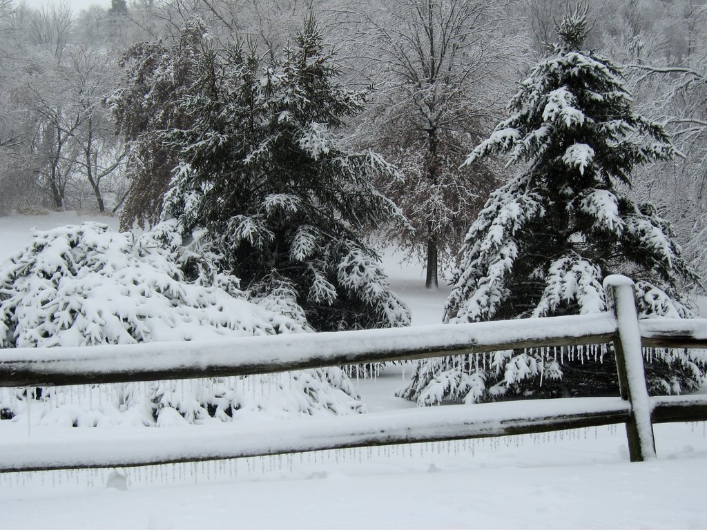 Late spring ice storm/blizzard