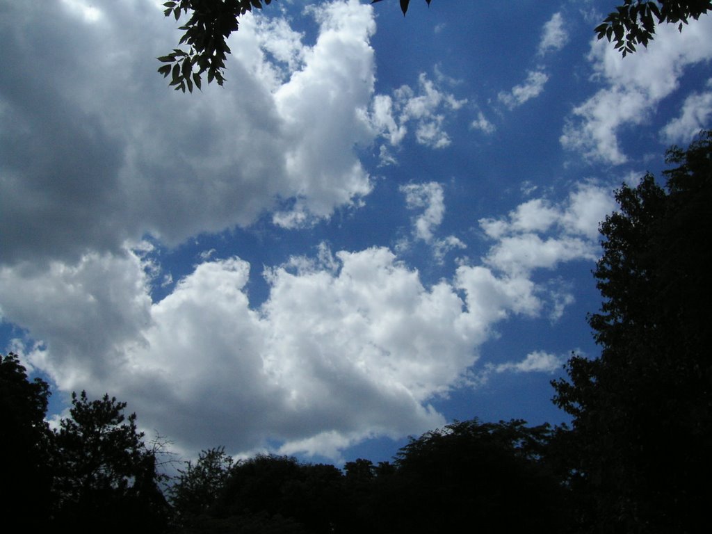 sky (summer 2006)