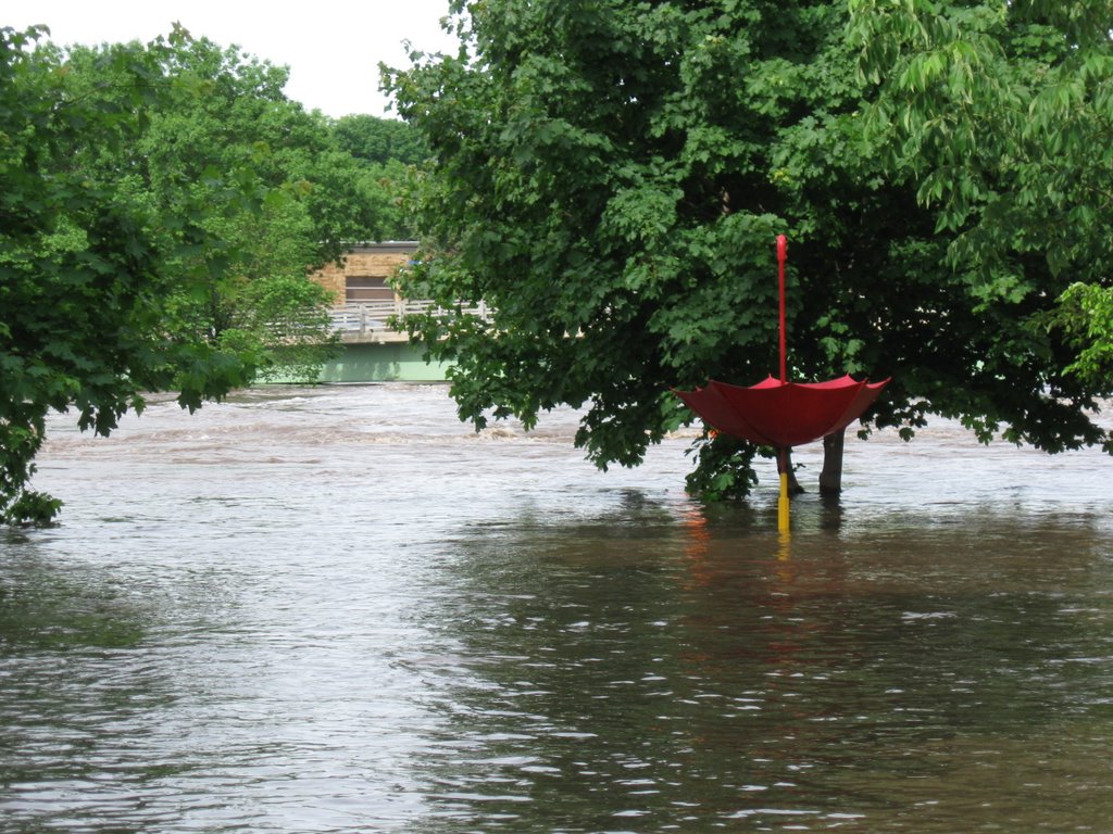 Flood of 2008: Cedar River behind The Library
