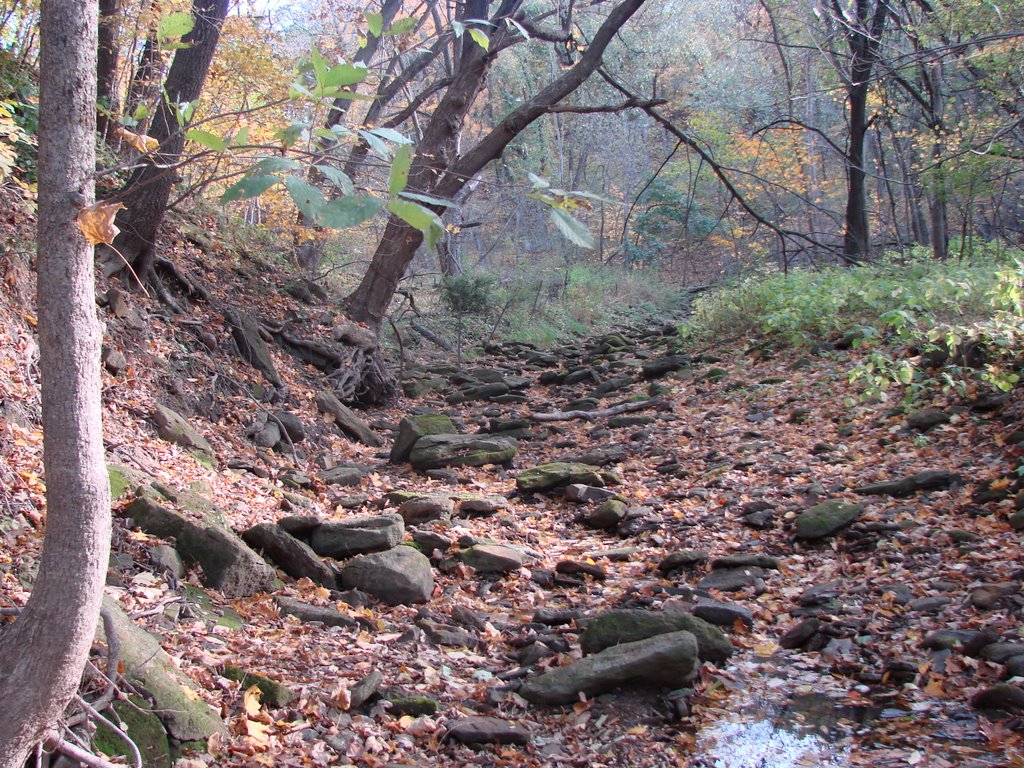 Hogs Back trail