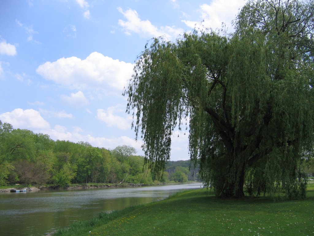 City Park Iowa City