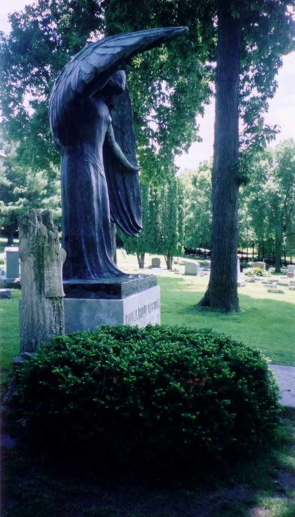 Iowa City Black Angel