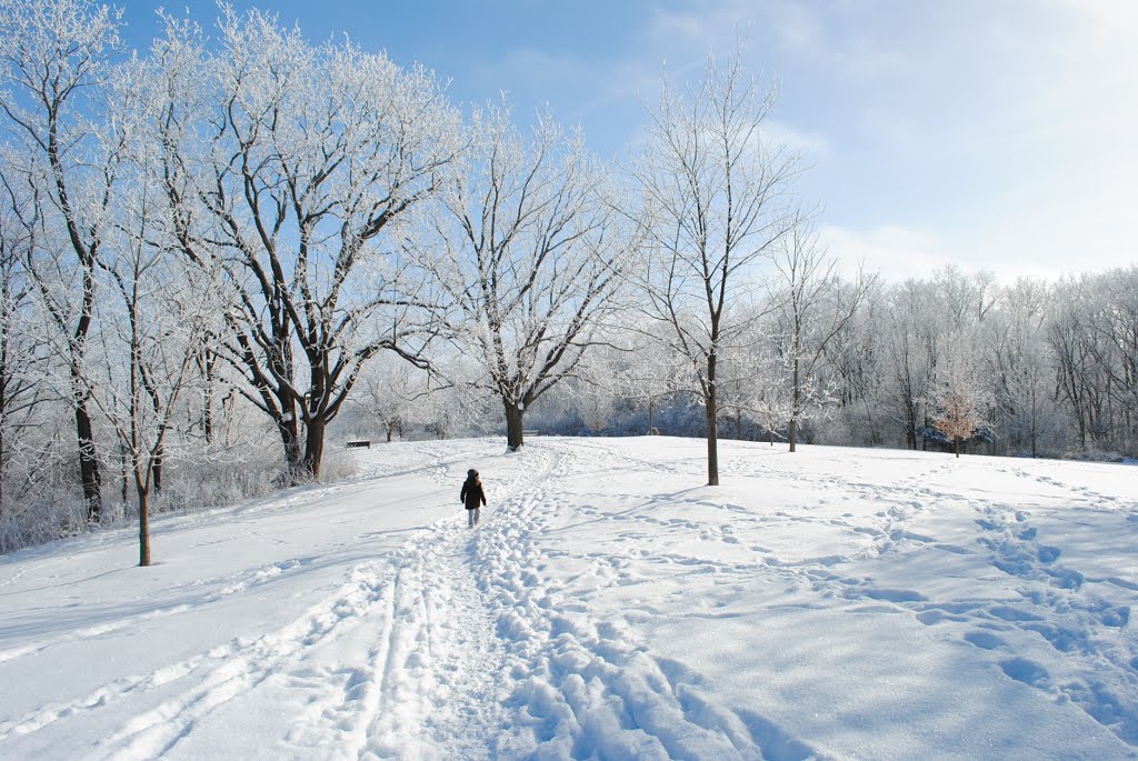 Hickory Hill Park