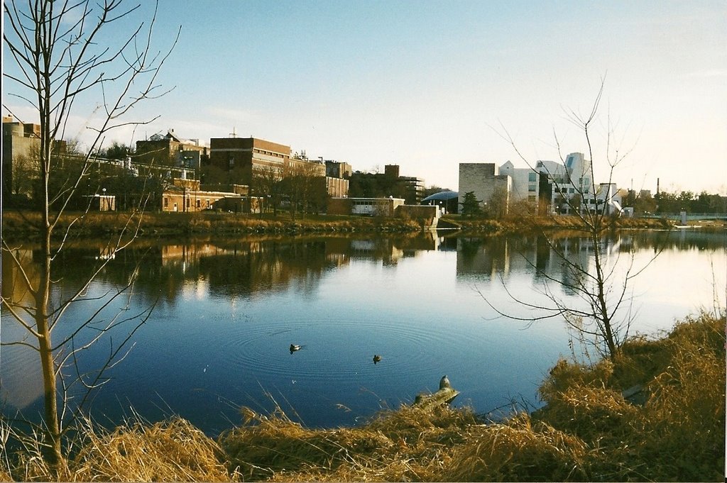 Iowa River mirror