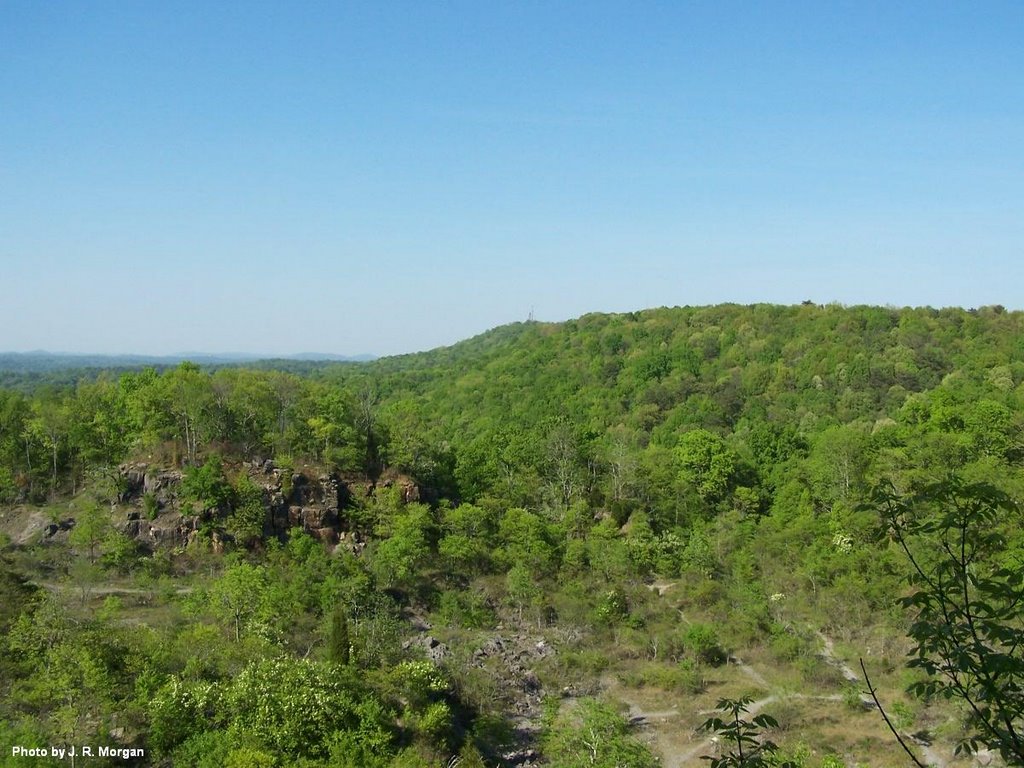 Fire Tower in the Distance