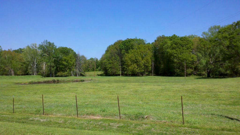 Stewart, AL Bull Pasture