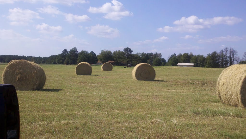 Stewart, Al hay pasture