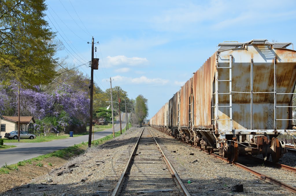 NS N-Line