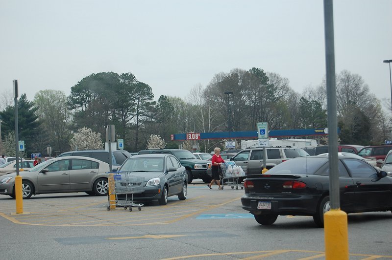 The Tree from walmart