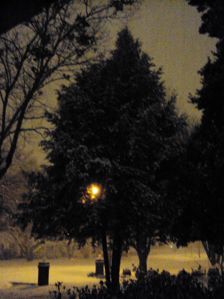 Snow in Alabama